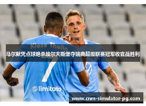 马尔默凭点球绝杀埃尔夫斯堡夺瑞典超级联赛冠军收官战胜利