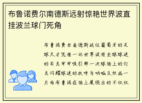 布鲁诺费尔南德斯远射惊艳世界波直挂波兰球门死角 布鲁诺费尔南德斯远射惊艳世界波直挂波兰球门死角